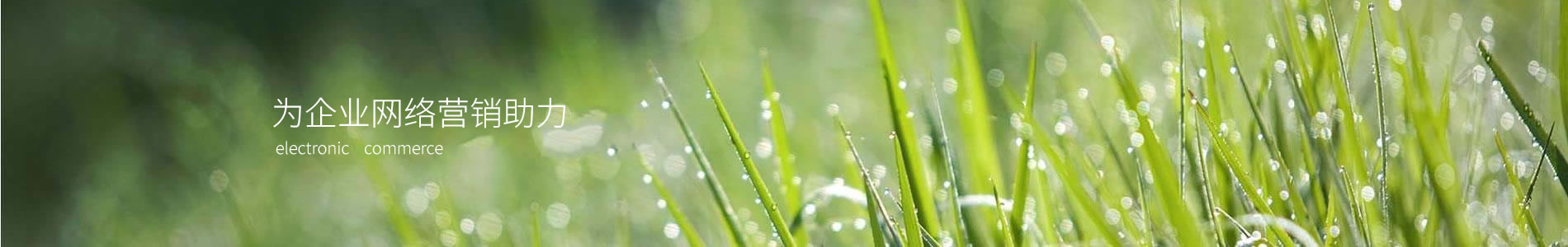 УݣƼ޹˾